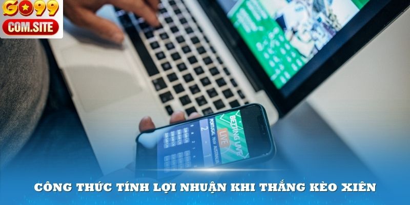 Công thức tính lợi nhuận khi thắng kèo xiên châu Á